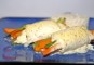 Scholrolletje in mosterdsaus