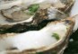 Oesters met mojito dressing