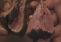 Chateaubriand