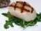 Coquille grillen