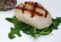 Coquille grillen
