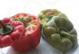 Gevulde paprika uit de oven