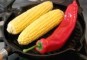 Gegrilde groenten