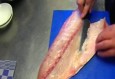 Tonijn/ Hamachi fileren