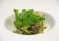 Haring venkelsalade