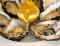 Oesters openen