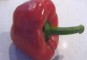 Paprika grof snijden