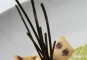Chocolade stengels