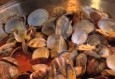 Cataplana