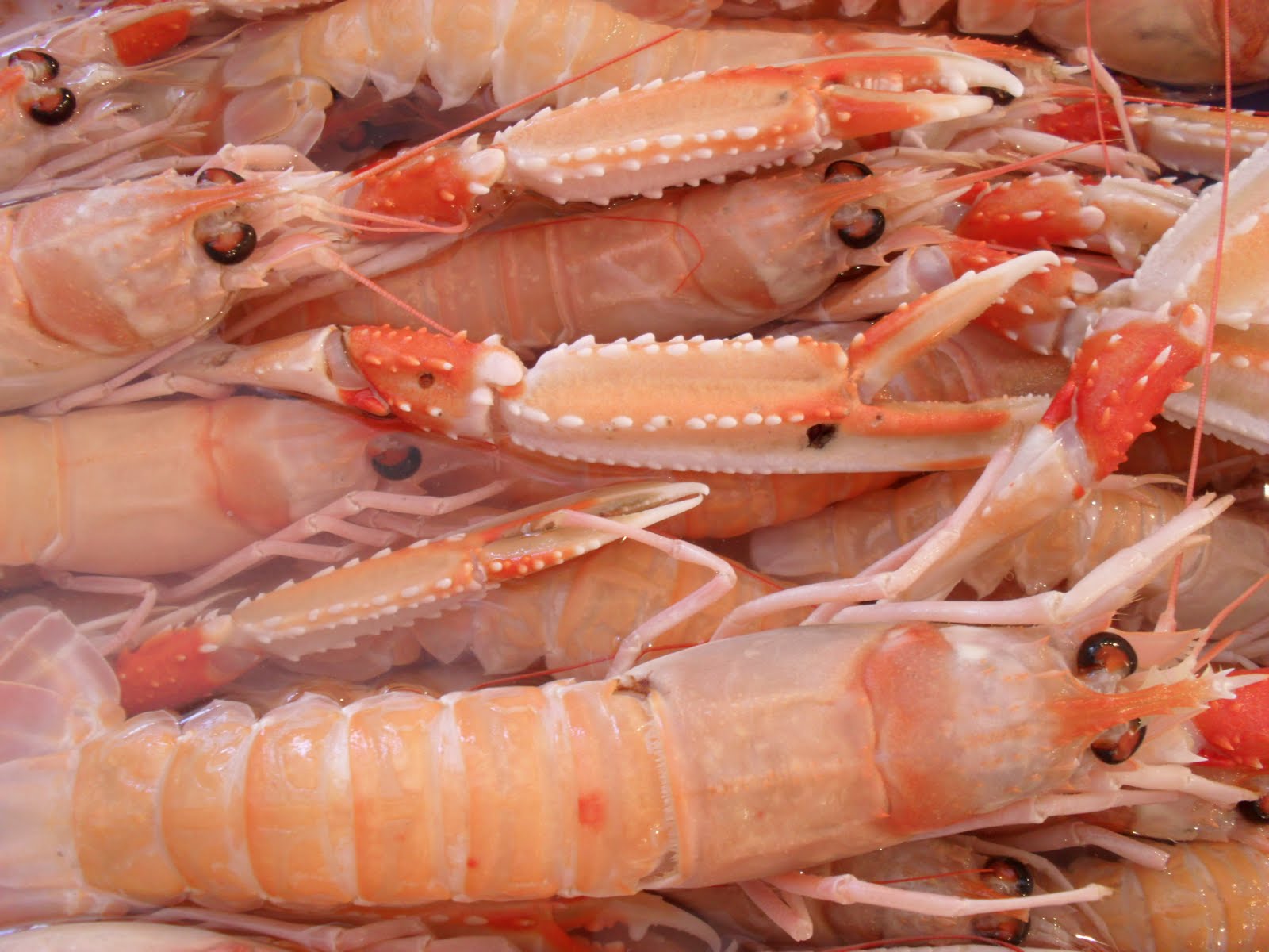 Crackers met langoustinestaartjes